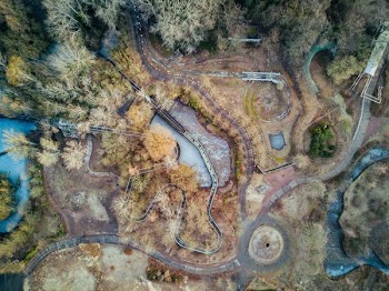 bird's eye view photo of body of water and trees