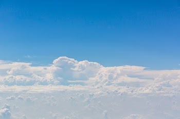bird's eye view photo of sea of white clouds