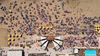 bird's eye view photography of beach umbrella filled with people