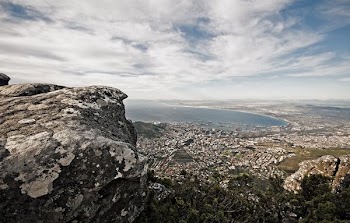 bird's eye view photography of city