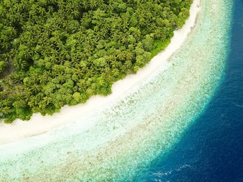 bird's-eye view photography of islet