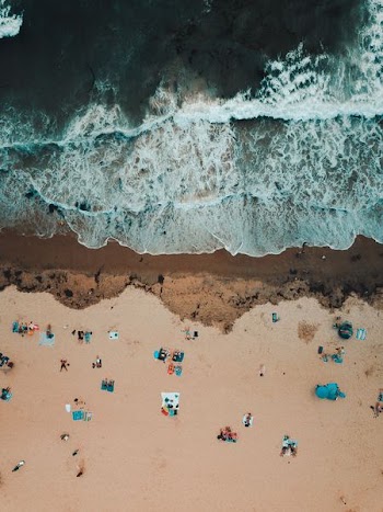 bird's eye view photography of people near seashore