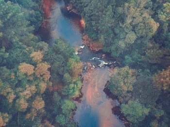 bird's-eye view photography of river flowing between trees