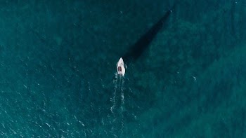 bird's eye view photography of sailboat in the middle of ocean