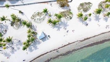 bird's eye view photography of seashore