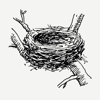 Bird's nest drawing, vintage illustration | Free PSD - rawpixel