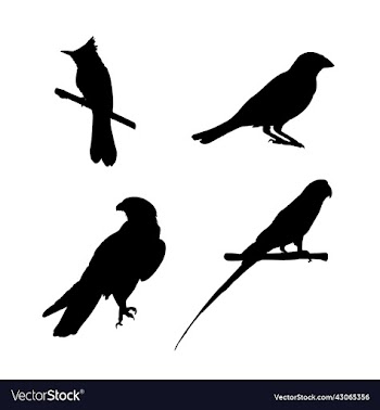 bird silhouette