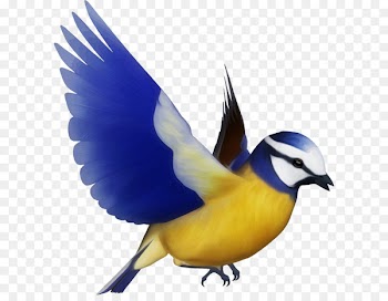 Bird Silhouette Clip art - Bird PNG 