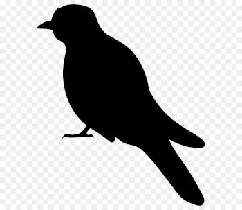 Bird Silhouette Clip art - Bird Silhouette PNG Clip Art Image 