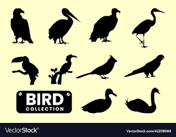 bird silhouette collection