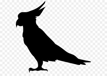 Bird Silhouette Illustration - Parrot Silhouette PNG Transparent Clip Art Image 