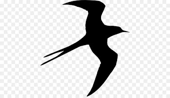 Bird Silhouette Swallow Drawing - Bird 