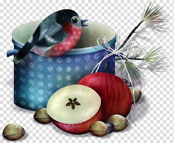 Bird Soup Garlic Butternut squash Paprika, Bird transparent background PNG clipart