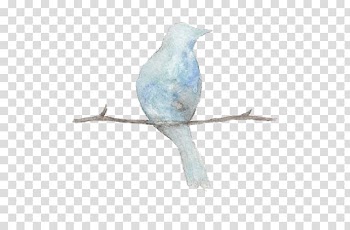 Bird Sparrow , Bird transparent background PNG clipart