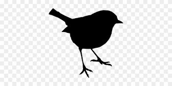 Bird, Stand, Silhouette, Nature - Wren