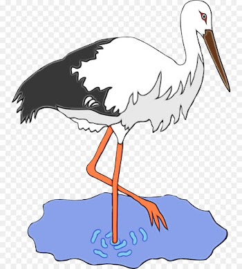 bird stork beak white stork crane-like bird