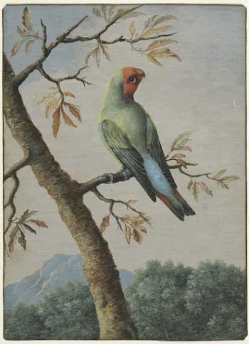 Bird Study painting in high | Free Photo - rawpixel