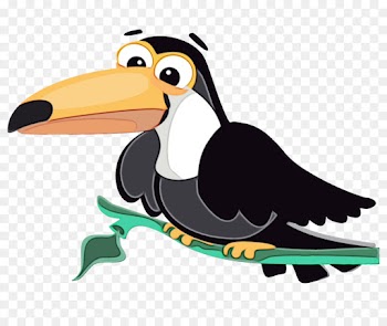 bird toucan cartoon beak piciformes