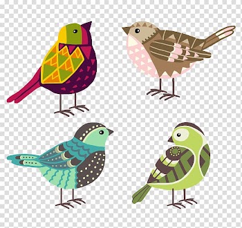 Bird transparent background PNG clipart