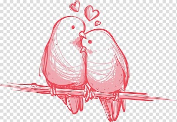 Bird Valentine's Day Wedding Gift , Love birds hand-painted, two bird perched on tree branch painting transparent background PNG clipart