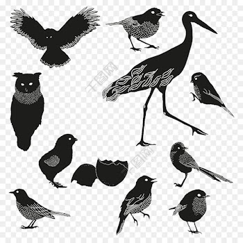 Bird Vector graphics Encapsulated PostScript Image Euclidean vector - advice silhouette 