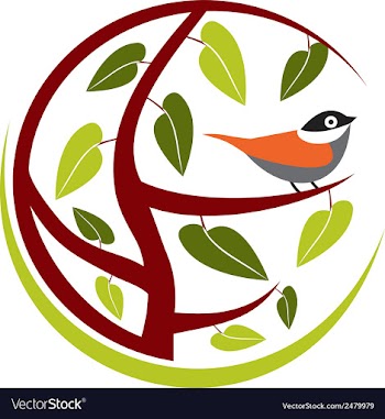 Bird vector image