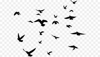 Bird Wall decal Silhouette Wallhogs - Bird PNG 
