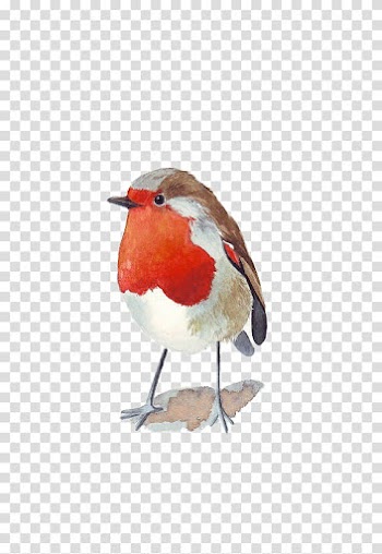 Bird Watercolor painting Architecture in Watercolor Wren, Red Sparrow transparent background PNG clipart