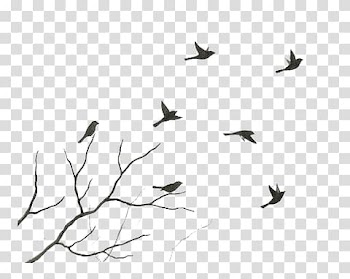 Bird Watercolor painting Art Flight, Bird transparent background PNG clipart
