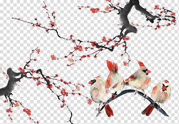 Bird Watercolor painting, Branches birds transparent background PNG clipart