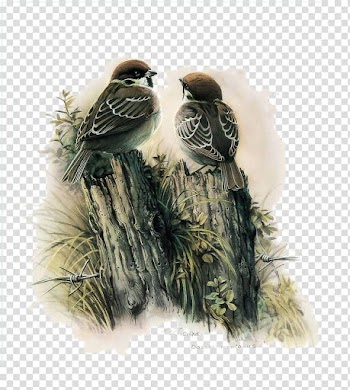 Bird Watercolor painting Decoupage Chinese painting, Sparrow dialogue material transparent background PNG clipart