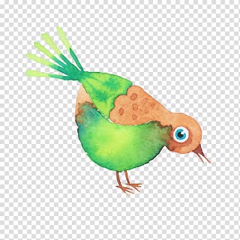 Bird Watercolor painting Drawing, Cartoon bird transparent background PNG clipart