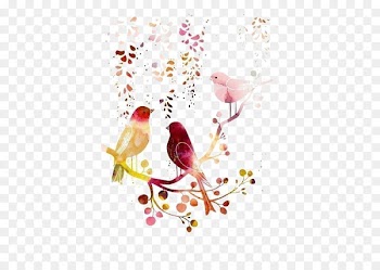 Bird Watercolor painting Drawing Illustration - Birds 