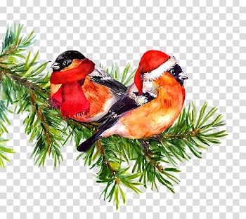 Bird Watercolor painting Drawing Tree, Bird transparent background PNG clipart