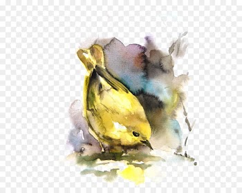 Bird Watercolor painting Drawing - Yellow Sparrow 