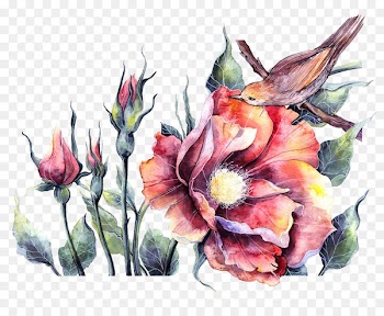 Bird Watercolor painting Floral design Illustration - Drawing peony and birds 
