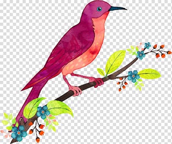 Bird Watercolor painting Illustration, Colorful wild goose transparent background PNG clipart
