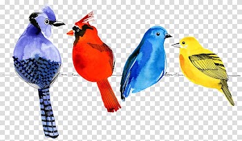 Bird Watercolor painting Parrot Drawing Cartoon, Bird transparent background PNG clipart