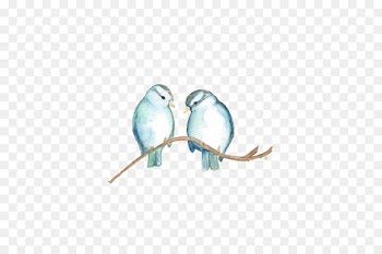 Bird Watercolor painting Sparrow Blue - Birds 