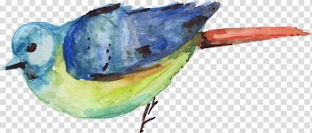 Bird Watercolor painting, watercolor animal transparent background PNG clipart
