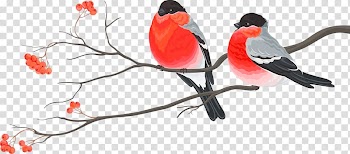 Bird Wedding invitation Christmas card Christmas decoration, Cute red birds transparent background PNG clipart