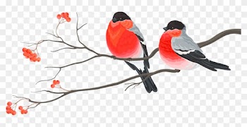 Bird Wedding Invitation Christmas Card Christmas Decoration - Wedding Birds Png