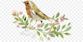 Bird Wedding invitation Euclidean vector Flower - Watercolor flowers 
