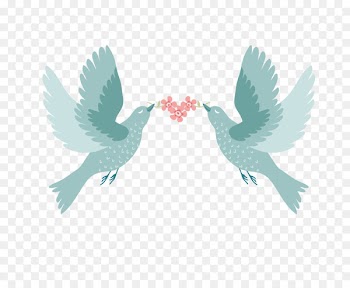 Bird Wedding invitation Paper - Creative Love birds 