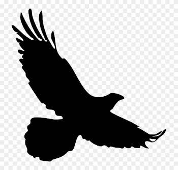 Bird, Wild, Silhouette, Nature, Clip, Art, Clip Art - Silhouette Of A Falcon