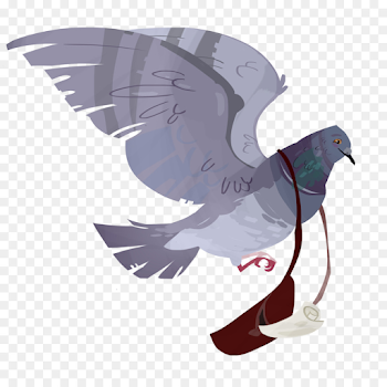 Bird, Wing, Illustration, transparent png image & clipart free ...