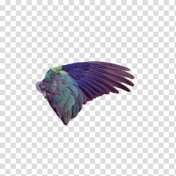 Bird Wing Painting Feather, Animals Wings transparent background PNG clipart