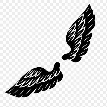 Bird wings png silhouette clipart, | Free PNG - rawpixel