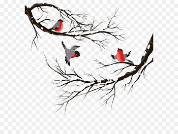 Bird Winter Illustration - Creative winter bird winter trees 