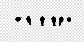 Bird Wire Electrical cable, bird watercolor transparent background PNG clipart